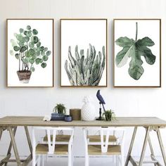 three green plants are hanging on the wall above a table