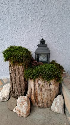 a lantern is sitting on top of a tree stump with moss growing out of it