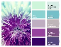 purple and blue color palettes with the words sky blue, sea green, violet