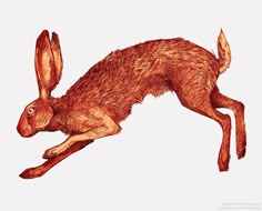 a drawing of a brown rabbit jumping in the air with its front legs spread out