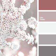 the color scheme is pink and grey with white flowers on it, as well as some other