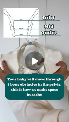 a person is holding an object in front of their face and the text reads, your baby will move through 3 bone obstacles in the pel