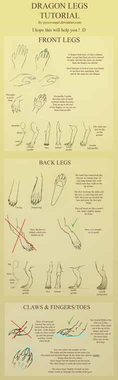 a poster with instructions on how to draw hands and feet in different positions, including the fingers