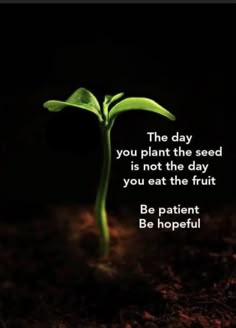 a plant that is growing out of dirt with the words be patient be hopeful on it