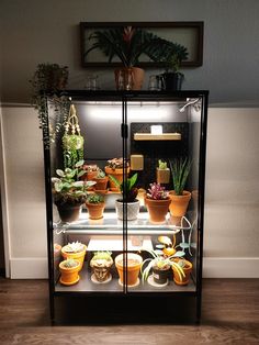 a display case filled with lots of potted plants