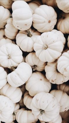 many white pumpkins are piled up together