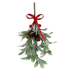 a mistlet hanging from a red ribbon with pine cones and evergreen leaves on it