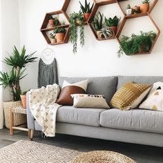 a living room filled with furniture and lots of plants hanging on the wall above it