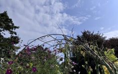 the garden is full of flowers and plants with vines on it's sides, against a blue sky with white clouds