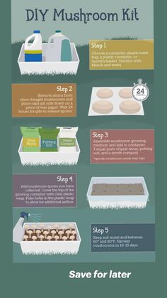 the ultimate guide to making homemade diy mushroom kits