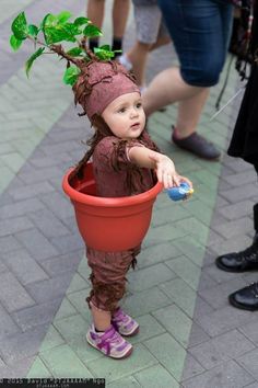 a small child in a potted plant costume