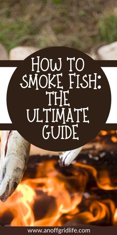 Cold Smoked Recipes, Smoked Goose, Smoked Trout Recipe, Smoked Fish Recipe, Cold Smoker, Trout Recipe, Smoker Ideas, Fish Cooking, Fish Smoker