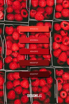 raspberries in baskets with red labels on the top and bottom, all labeled