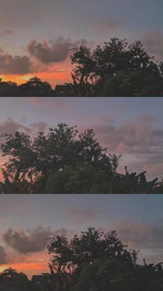 three different shots of trees at sunset with clouds in the sky and one tree without leaves