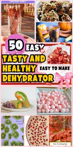 50 easy tasty and healthy dehydraator recipes