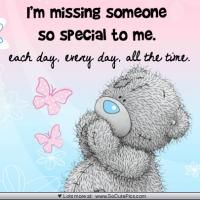 a teddy bear with the words i'm missing someone so special to me each day every day, all the time