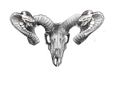 a ram skull with two snakes on it's head and the horns curled up