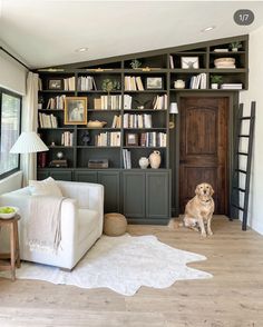 a dog sitting in the middle of a living room next to a bookshelf