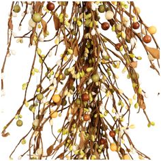 an arrangement of branches with nuts and leaves