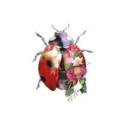 a lady bug with flowers on its back