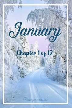 a snowy road with the words january written in blue on it and trees covered in snow