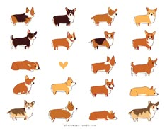 a bunch of dogs that are standing in the same direction, with hearts on them