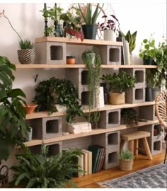 a shelf filled with lots of potted plants next to a wall mounted planter