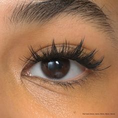 Love at first spike. This single-spike, dramatic lash reminds you that you don’t need to attend the Met Gala to feel like you are. 10 lash wisps per set Available in 10 mm, 12 mm, 14 mm, & 16 mm Handmade with love and Korean Silk PBT fibers Somewhere between a “C” and “D” curl Vegan and cruelty-free How to Apply: PREP: Clean your lashes with Lilac Lash Conditioning Primer. Apply a small amount of either Lilac Lash Glue or PRO Lash Glue to your natural lashes, concentrating the bond on the base o Low Volume Lash Extensions, Wispy Strip Lashes, No Makeup Just Lashes, Dolly Lash Extensions, Lash Extensions Styles For Almond Eyes, Dolly Eyelash Extension, Lash Extensions Korean, Lashes For Big Eyes, Lashes For Downturned Eyes