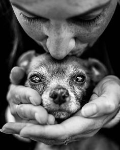 a woman holding a small dog in her hands