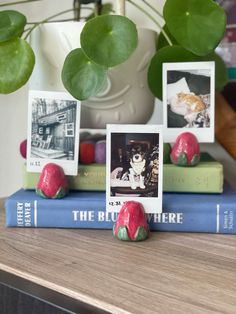 some books and pictures on top of each other with plants in the corner behind them