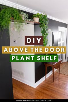 a plant shelf with plants in it and text overlay that reads diy above the door plant shelf