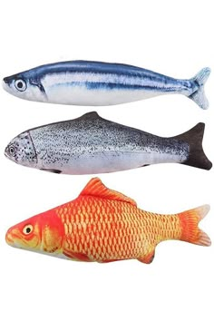 three different types of fish on a white background