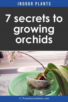 a potted plant with the words 7 secrets to growing orchids in front of it