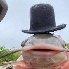 a person wearing a top hat and holding a fish with its mouth wide open,