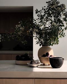 there are two bowls with fruit in them on the counter next to a potted plant