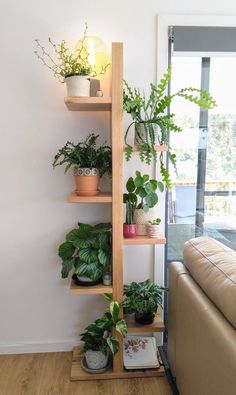 a living room filled with furniture and lots of green plants on top of wooden shelves