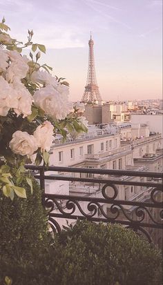 the eiffel tower is in the distance behind some white flowers on a balcony