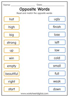 opposite and opposite words worksheet for students to practice their english language workbook