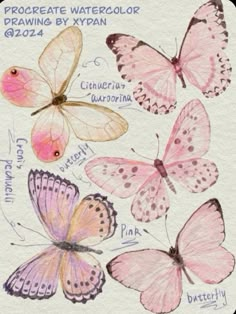 watercolor drawing of pink butterflies on white paper with words describing the process of drawing