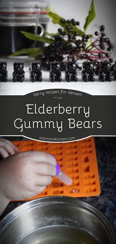 Embrace Healthy Fall Recipes by diving into this elderberry gummies recipe. Fusing the natural goodness of elderberry with the fun texture of gummies, it's an easy way to introduce health benefits to your diet. Perfect for those looking for a sweet, immune-boosting treat that doesn't compromise on taste. Elderberry Gummy Recipe, Elderberry Syrup Uses, Making Gummy Bears, Apothecary Kitchen, Homemade Gummy Bears, 2024 Meals, Healthy Gummies, Homemade Gummies, Elderberry Tea