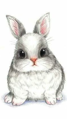 a drawing of a small rabbit with big eyes