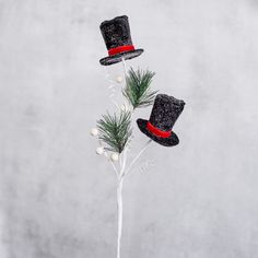 two black hats are on top of a small white tree with berries and pine needles