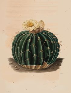 a painting of a cactus with a flower on top