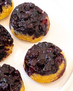 four blueberry donuts on a white plate