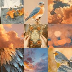 a collage of photos with birds and clouds in the background, including an image of a person holding a book