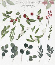 watercolor leaves and berries clipart set