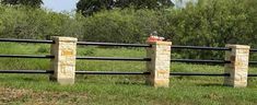 two stone pillars in front of a black and white fence with trees in the background