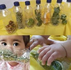 a collage of photos with baby's hands and bottles filled with herbs