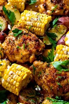 grilled chicken and corn on the cob with herbs