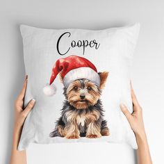 a person holding a pillow with a small dog wearing a santa hat on it's head